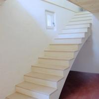 Img 7982