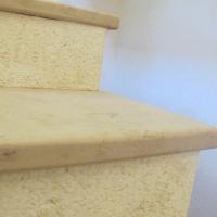 Img 7987