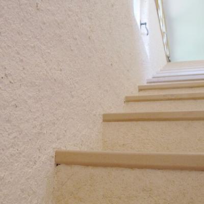Img 7988