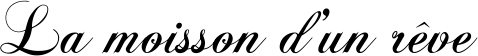 Lamaison dun reve logo copie